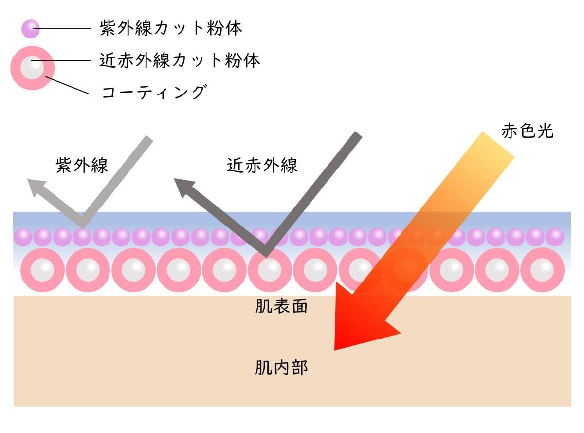 近赤外線の散乱と赤色光の透過